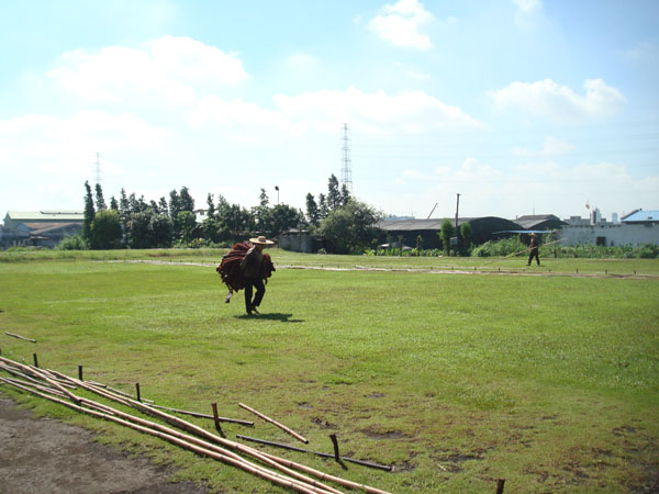 DSC08775