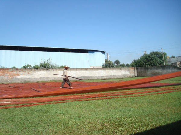 DSC08787