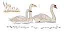 Originalen s&aring;lda