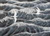 Silvert&auml;rnor