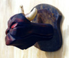 Stubbens vrede