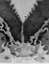 Varg-&aring;n